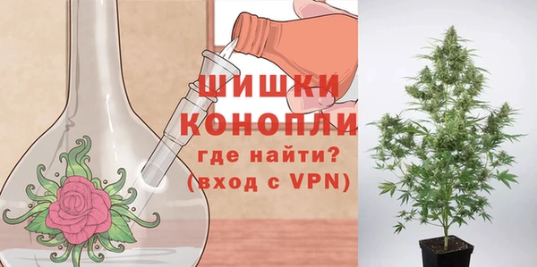 дмт Кинешма
